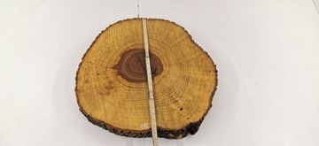 Срез ясеня 60х54 см для смол Большой выбор