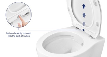 Подвесной унитаз DeerValley 1,6 GPF/1,1 GPF белый DV-1F0069