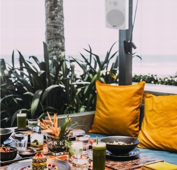 IP55 240 Вт 5,25 дюйма WIFI BT установочные динамики