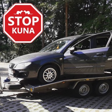 ОТПУСКАТЕЛЬ КУНИЦЫ ЭФФЕКТИВЕН ОТ АЛЛЕГРО МУЖЧИН ОТПУСКАТЕЛЬ ДЛЯ АВТОМОБИЛЯ