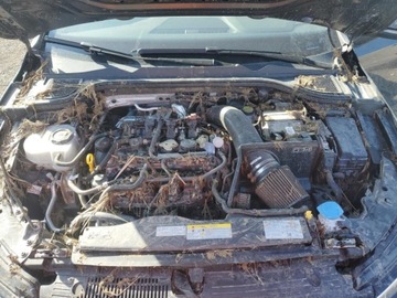 Volkswagen Golf VIII 2023 Volkswagen Golf GTI 40th Anniversary 2023 2.0L 2.0 Benzyna 241KM, zdjęcie 6