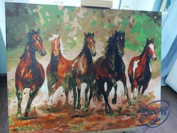 Набор КРАСКА ПО ЦИФРАМ - ИПИКАССО 40x50
