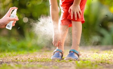 DETTER KIDS TICK AND MOSQUITO ПОВТОР ДЛЯ ДЕТЕЙ