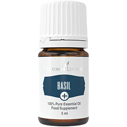 Young Living - Olejek BASIL Plus 5 ml- Bazyliowy