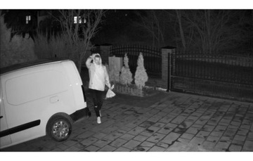 ORLLO Z20 4K 8 МП 5xZOOM IP-камера БЕСПРОВОДНАЯ НАРУЖНАЯ ВРАЩАЮЩАЯСЯ