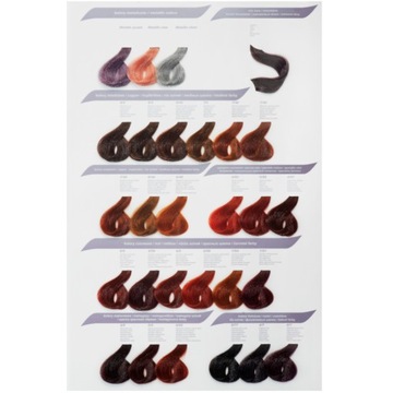 CE-CE CECE COLOR FARBA 4