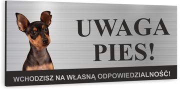 Tabliczka UWAGA ZŁY PIES - PINCZER MINIATUROWY