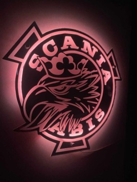 Зеркало SCANIA VABIS с гравировкой 50x50см