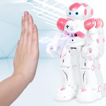 РУЧНОЙ ИГРУШЕЧНЫЙ РОБОТ, РАСПОЗНАВАНИЕ ЖЕСТОВ, ИНТЕЛЛЕКТУАЛЬНЫЙ ИГРУШЕЧНЫЙ РОБОТ