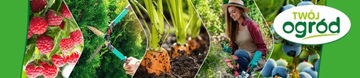 УДОБРЕНИЕ ДЛЯ СУРФИНИЙ И ПЕЛАРГОНИОНОВ 500МЛ SURFINIE GERAGONIONS ЖИДКОСТЬ Ваш Сад
