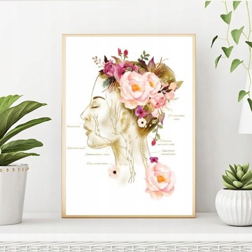 Современная HD-печать карты мышц лица женщины Medica