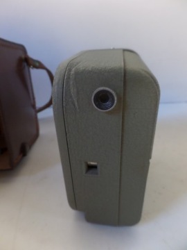 Эумиг электрический