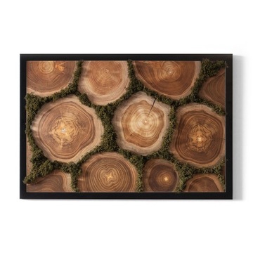 Obraz z mchem chrobotkiem Przekrój pnia 60x40