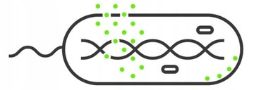 Органайзер MICRO SILVER контейнеры для еды 15,5л