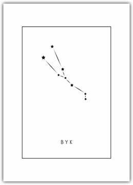 Plakat Znaki Zodiaku Byk 21x30 gwiazdy Horoskop żywioł ziemi