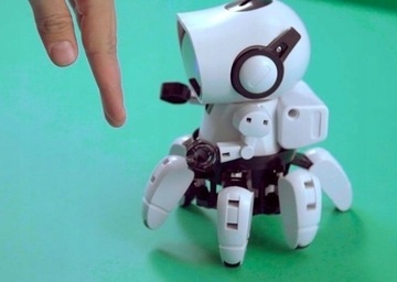 ПЯТНИК РОБОТ ЧИПЗ ИНТЕЛЛЕКТУАЛЬНЫЙ РОБОТ 8+