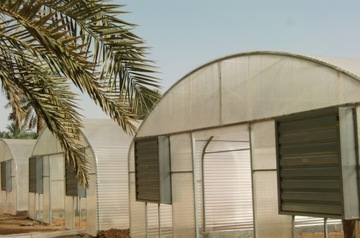 Прозрачная волнистая полиэфирная плита в рулоне 2 х 10.