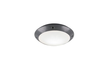 Lampa elewacyjna plafon zewnętrzny LED antracyt RL