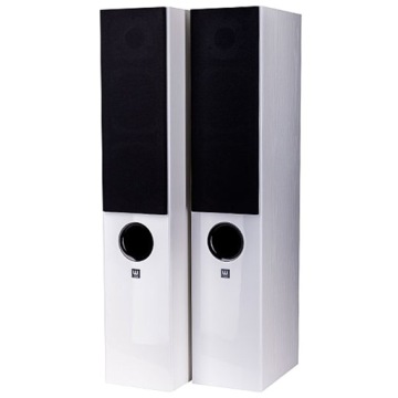 WILSON RAPTOR 5 НАПОЛЬНЫЕ HI-FI КОЛОНКИ