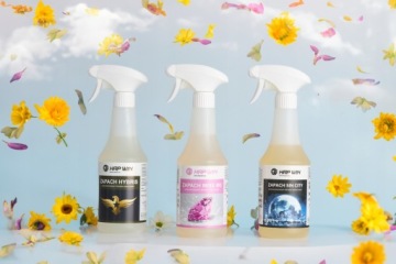 HAP ВЫИГРАЙТЕ ЗАПАХ ГОРОДА ГРЕХОВ