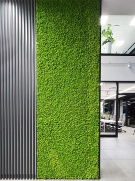 Финский мох 500г сетка, светло-зеленый