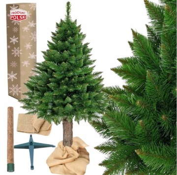 CHOINKA NA PNIU SOSNA HIMALAJSKA 160cm DELUX