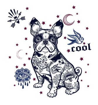 Naklejki na ścianę ścienne Pies Buldog Francuski
