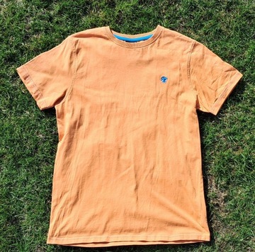 T-shirt Next cotton orange r. S/36 , BDB