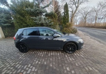 Volkswagen Golf VII Hatchback 3d 1.6 TDI-CR DPF 105KM 2013 Volkswagen Golf Volkswagen Golf 1.6 TDI BlueMotion Technology DSG Comfortl, zdjęcie 2
