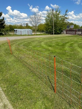 Siatka elektry dla owiec, 50m, 90 cm, poj. szpic