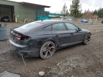 Audi A5 F5 2019 Audi RS5 2019r., 4x4, 2.9L, zdjęcie 2