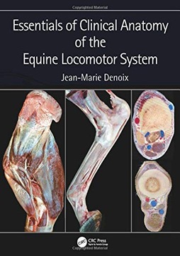Essentials of Clinical Anatomy of the Equine