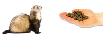 МОЩНАЯ ПРИМЕЛЬКА ДЛЯ МУЖЧИН ЛОВУШКИ ЛИСЫ ЛОСКИ КРЫСЫ МУЖЧИНЫ РЫБА ПЕЧЕНЬЕ