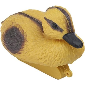 УТКА В САДОВОМ ПРУДУ, ПЛАВАЮЩАЯ УТКА