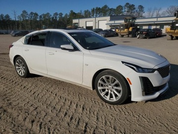 Cadillac 2023 Cadillac CT5 Luxury 2023 2.0l 2.0 Benzyna 237KM, zdjęcie 4