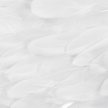 КРЫЛЬЯ АНГЕЛА ДЕВОЧКА АНГЕЛ ХЭЛЛОУИН РОДНАЯ ВЕЧЕРИНКА КОСТЮМ ПЕРО 105X45CM