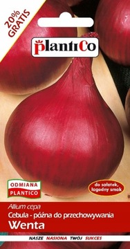 Cebula Wenta 6g PlantiCo