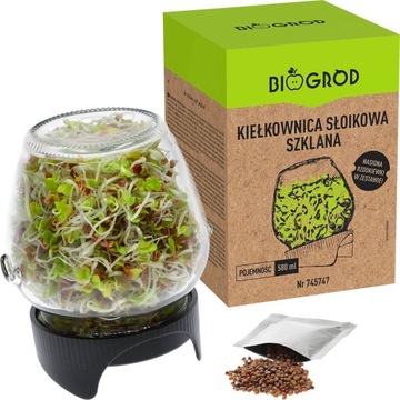 Kiełkownica SŁOIKOWA twist-off Naczynie na Kiełki Nasiona rzodkiewki 580ml