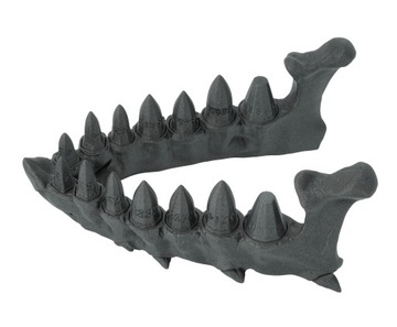 Smocza szczęka z zestawem kości ze smoczych zębów - Dragon Teeth Dice Set