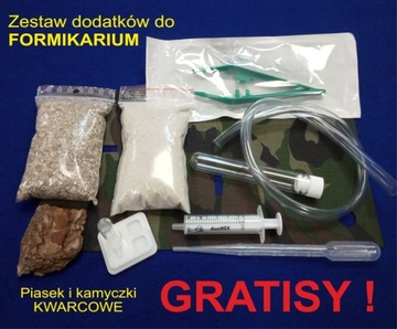 Акриловый формикарий БОЛЬШОЙ СТАРТОВЫЙ НАБОР!