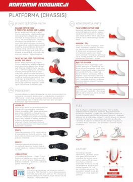 Buty do nartorolek ALPINA / nowy model SKATE 40 EU