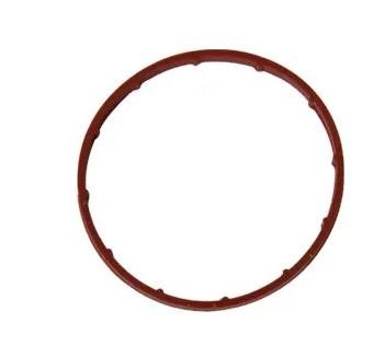 USZCZELKA VACUM POMPY CITROEN FIAT PEUGEOT 455619