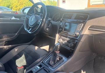 Volkswagen Golf VII Variant 1.6 TDI BlueMotion Technology 110KM 2016 Volkswagen Golf 2016r 1.6 Diesel 110KM, zdjęcie 8