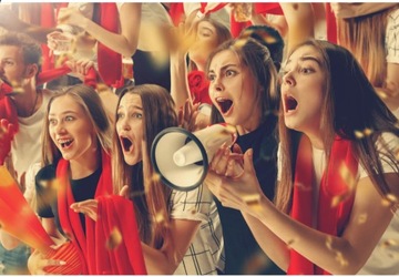 Подарочные пробковые тапочки Sloffie 42 44 размера с эмблемой для болельщика