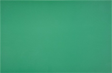 ДОСКА РАЗДЕЛОЧНАЯ 450х300 ЗЕЛЕНАЯ HACCP ДЛЯ ОВОЩЕЙ
