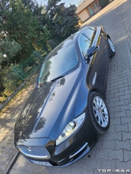 Jaguar XJ VII X351 Sedan SWB 3.0L V6D 600 275KM 2014 Jaguar XJ Piekny Full Wyposazenie 3.0 Diesel 275KM, zdjęcie 7