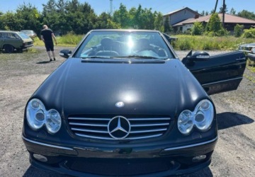Mercedes CLK W209 Cabrio A209 5.0 V8 (500) 306KM 2003 Mercedes-Benz CLK Mercedes-Benz CLK 500 Avantgarde 5.0 Benzyna 306KM, zdjęcie 3