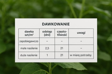 SPIDEX VITAL PLUS: PREPARAT NA PRZĘDZIORKI | DOBROCZYNEK ROZTOCZA