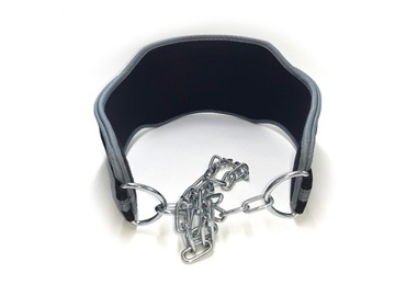 ПОГРУЖНОЙ ПОЯС EVOLUTION БОДИБИЛДИНГ ВЕСОВОЙ ПОЯС