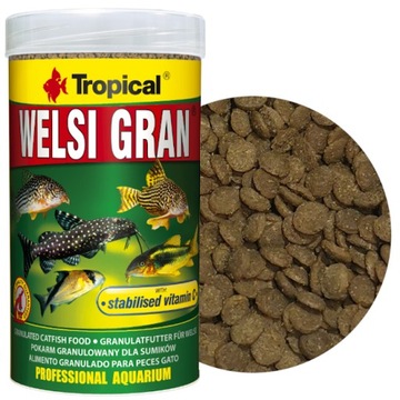 TROPICAL WELSI GRAN 100 ml POKARM DLA RYB DENNYCH